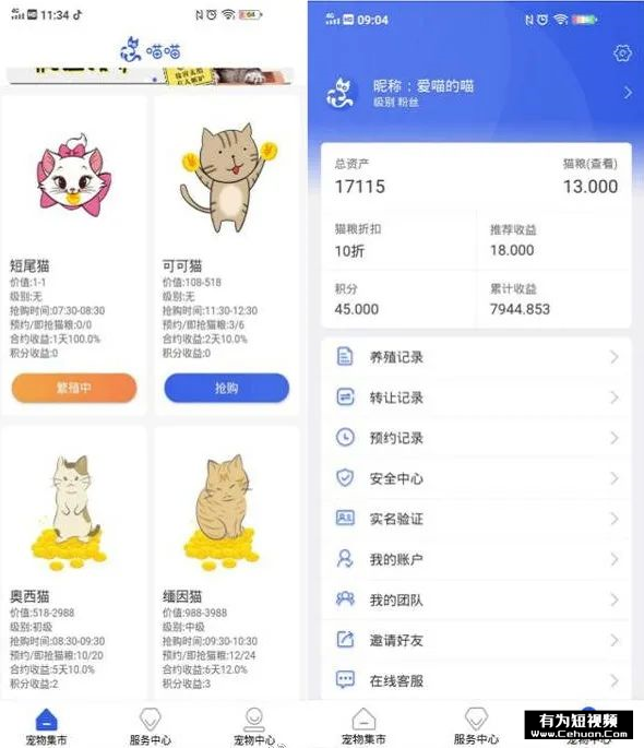 揭秘：號(hào)稱零擼的“養(yǎng)貓賺錢”騙局套路！