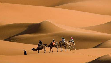 2023抖音最火歌曲排行榜前十名 2023最火歌曲抖音盤點(diǎn) - 策幻網(wǎng)