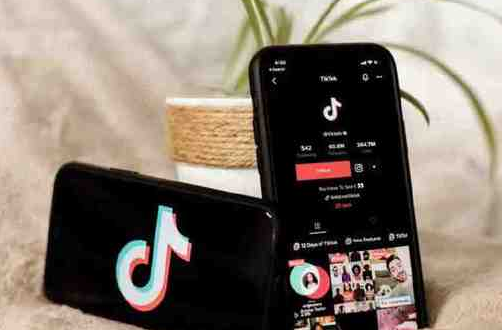 tiktok怎么帶貨變現(xiàn) tiktok帶貨怎么收款 - 策幻網(wǎng)