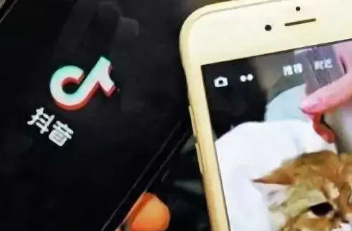 抖音新號怎么做才有流量 抖音新號要實名認證怎么辦 - 策幻網(wǎng)