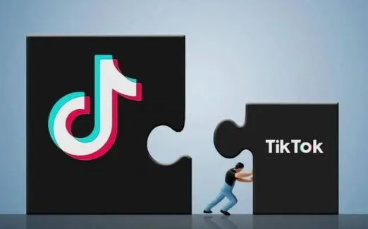 tiktok做什么類目比較好 tiktok小店可以改類目嗎 - 策幻網(wǎng)