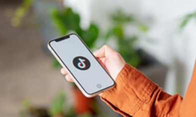 tiktokshop的物流管理是什么 tiktokshop的收益信息怎么填 - 策幻網(wǎng)