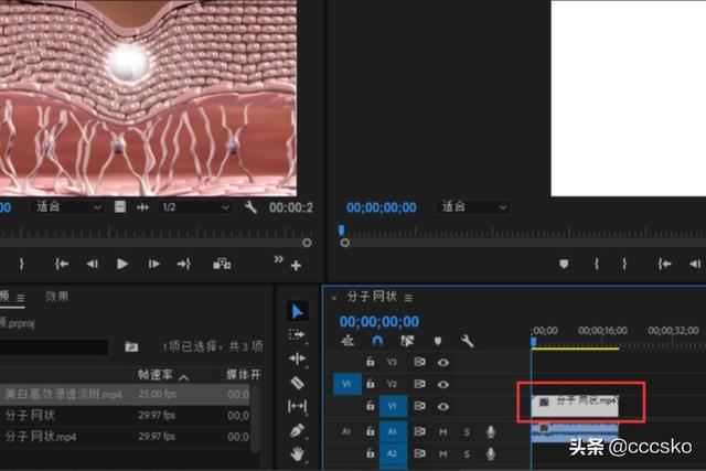 pr模板怎樣替換視頻素材圖片？三種方法？