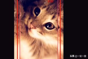 剪映怎么去掉視頻中的水印教程？