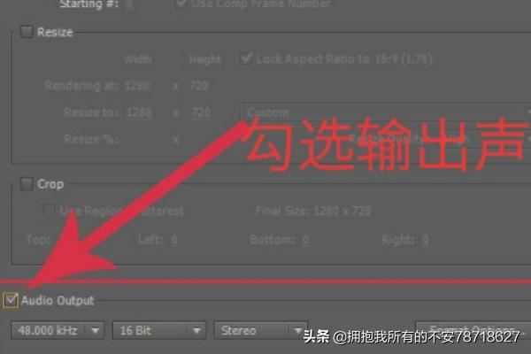 AE怎么導出視頻？