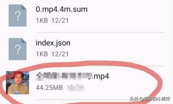 如何把bilibili手機(jī)客戶(hù)端下載的視頻拷到優(yōu)盤(pán)？