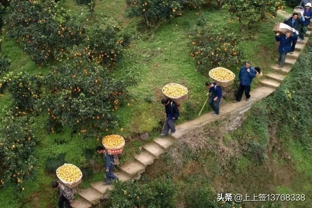 拼多多無貨源怎么發(fā)貨？無貨源一件代發(fā)怎么做？