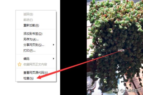 怎么下載保存電腦網(wǎng)頁版小紅書上的視頻？