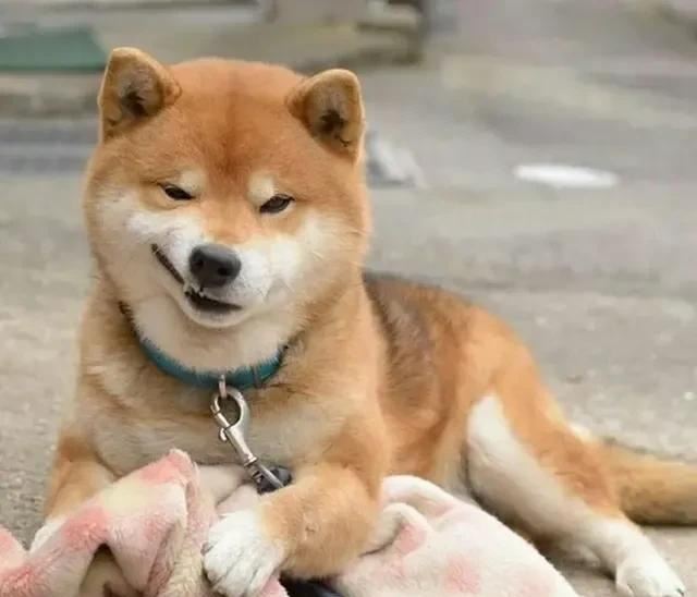 不能下載的視頻怎樣保存本地？