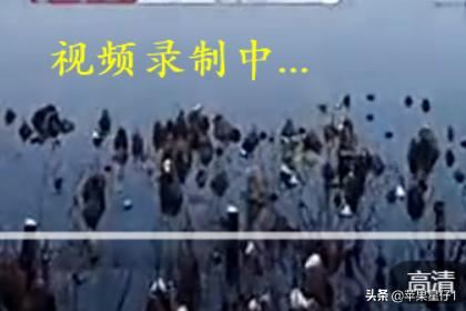 如何保存電腦中的視頻緩存文件？