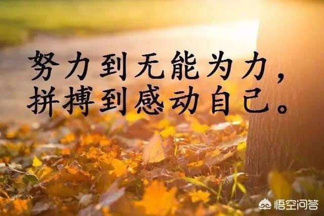 我的抖音被好友拉黑了可以看到好友動(dòng)態(tài)嗎？