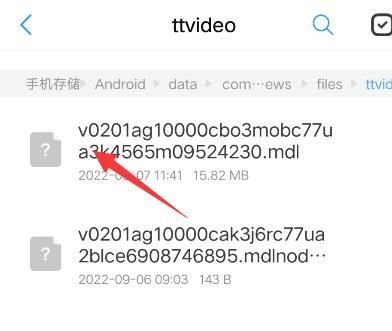 頭條視頻如何轉(zhuǎn)換成mp4？