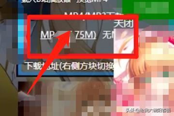 電腦b站怎么下載視頻緩存？