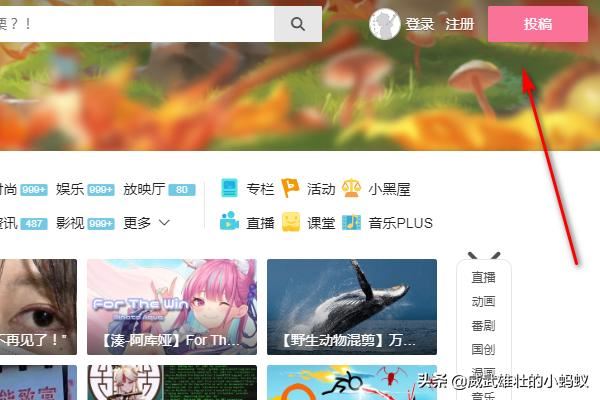 B站如何投稿互動(dòng)視頻？