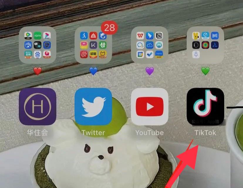 國內(nèi)怎么看抖音國際版？